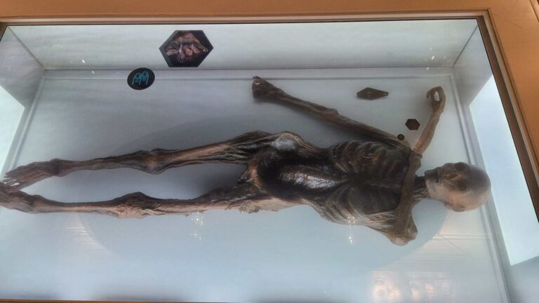Ledový muž Ötzi ležel 5300 let v horách. Jeho odhalení provázela série záhadných úmrtí