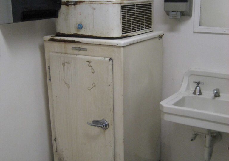 Před 111 lety vynalezla Američanka první elektrickou lednici