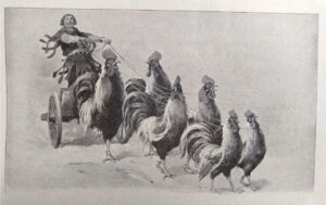 Kouzelník Žito, FOTO: Jirka.h23, Public domain, via Wikimedia Commons