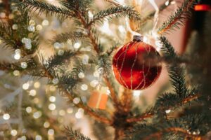 Vánoční strom, FOTO: Pixabay.com