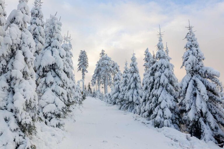 Rekordy, ze kterých mrazí: Lysá hora pod pěti metry sněhu, dráty pod tíhou ledu a propad o třicet stupnů