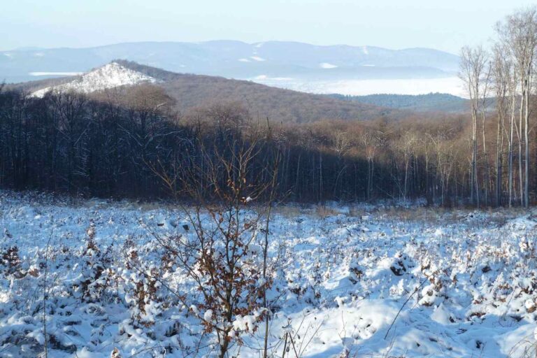 Našli ho po třech měsících, ale přišel o rozum, další se dodnes nenašli. Skutečné případy zmizení v pohoří Tribeč