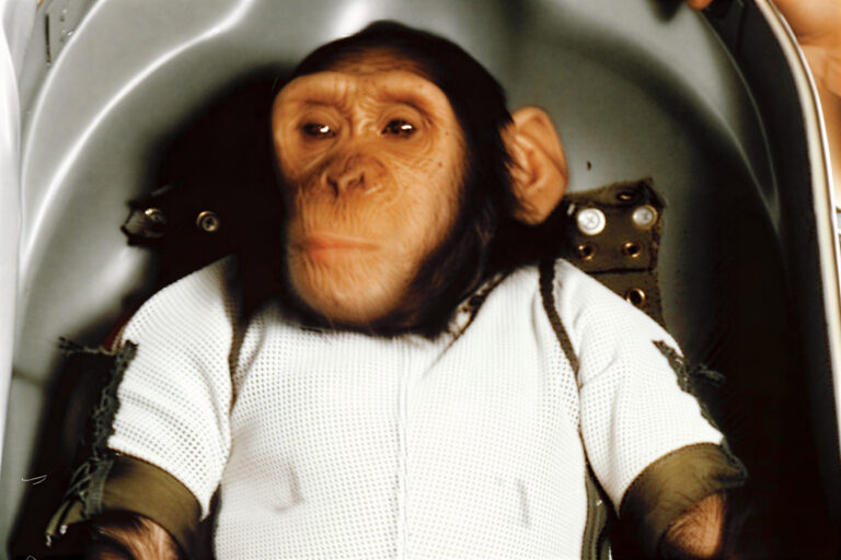 Před 65 lety vyletěl šimpanz Ham do vesmíru. Dostal za to jablko a dožil za mřížemi