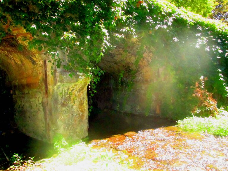 „Viselo to 50 metrů nade mnou.“ Spis odhaluje útoky UFO v Brazílii, velitele operace našli po svědectví mrtvého