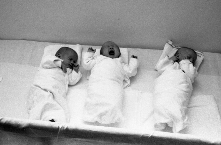 Ukradli jim dětství kvůli vědě. Pravdu o krutém experimentu s trojčaty zamkli do trezoru až do roku 2065