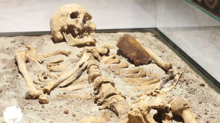 Kůl v srdci a hlava u nohou. V Čelákovicích našli hroby lidí, které tehdejší společnost považovala za upíry