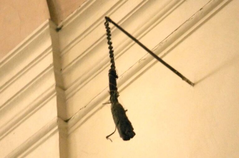 Staletí na řetězu. Zčernalá ruka v pražském kostele svatého Jakuba budí dodnes zájem