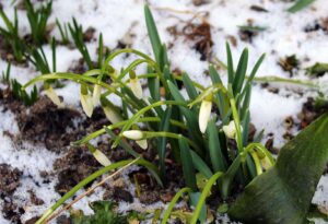 Jaké pranostiky se pojí s březnem? FOTO: Pixabay.com