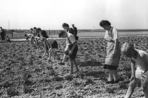Children and a few adults walk in a line across a muddy field on an open day, bending to touch the ground.